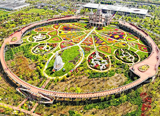 巅峰国际官网-相信品牌力量