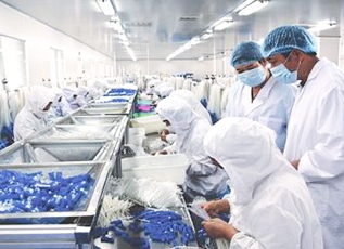 巅峰国际官网-相信品牌力量