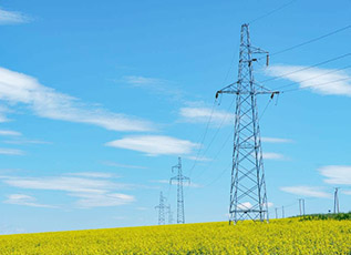 巅峰国际官网-相信品牌力量