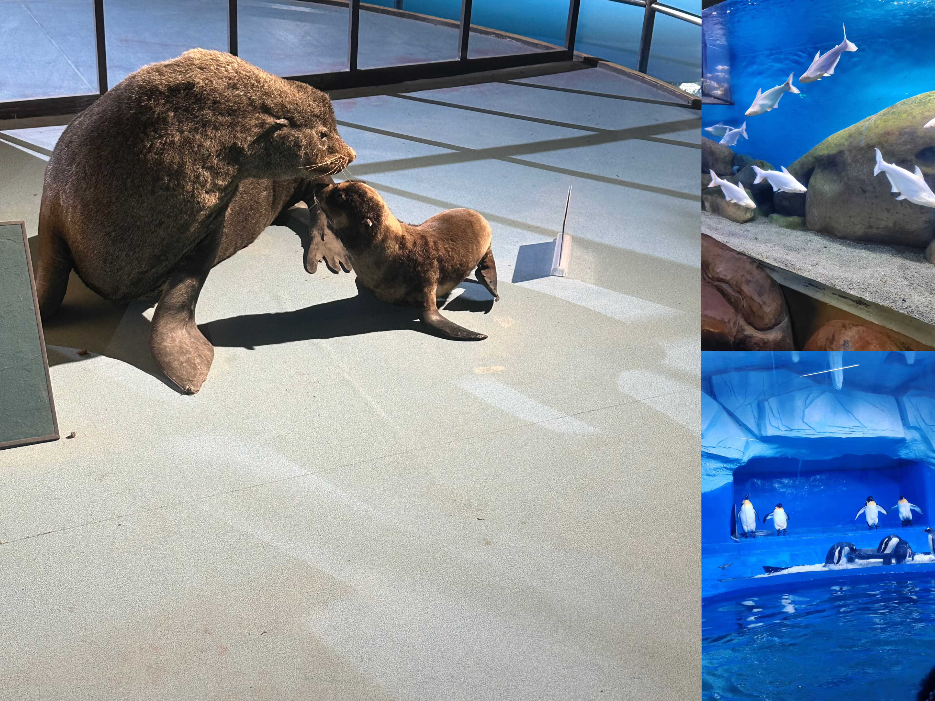 BG大游(集团)唯一官方网站