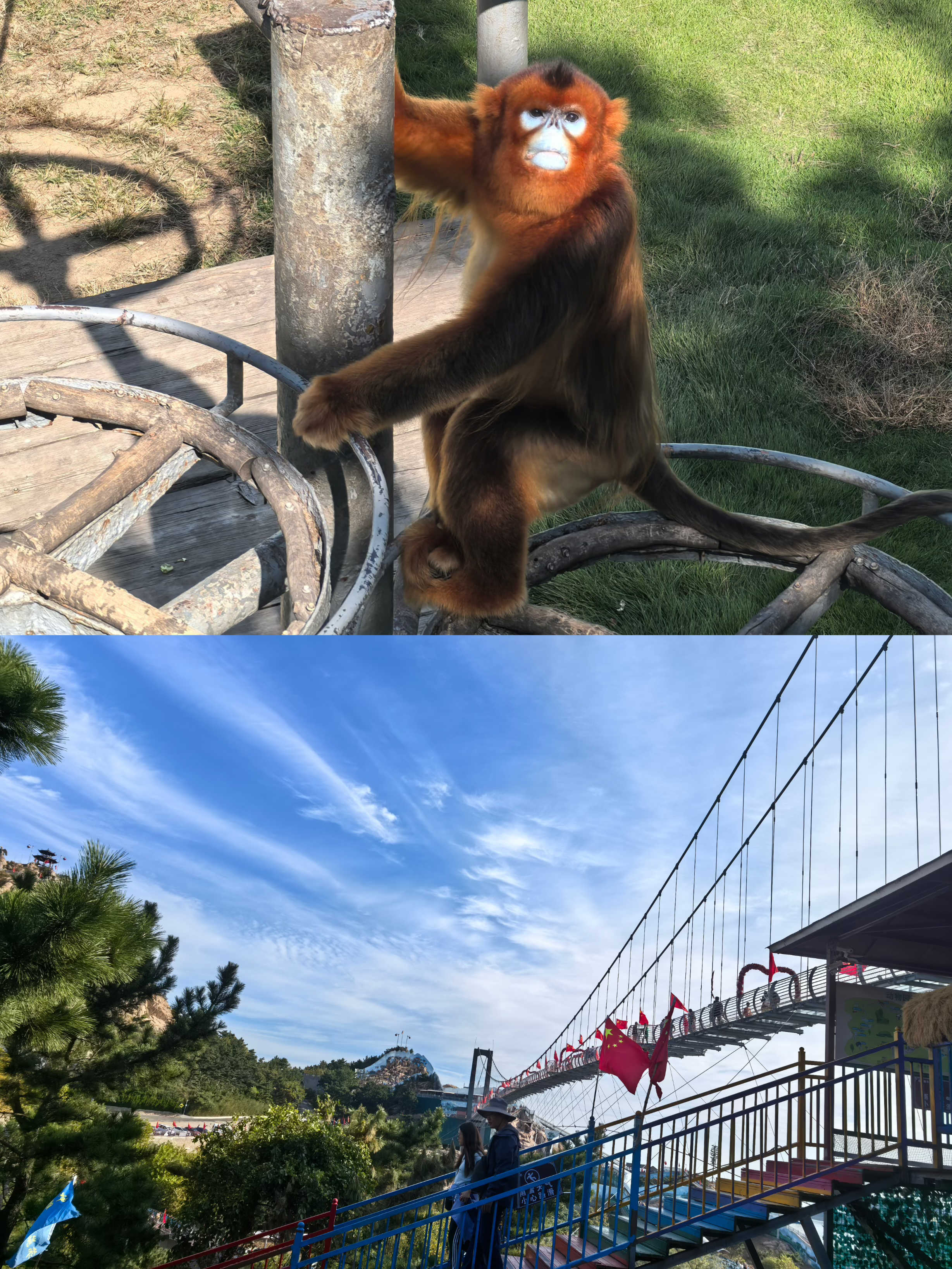 BG大游(集团)唯一官方网站