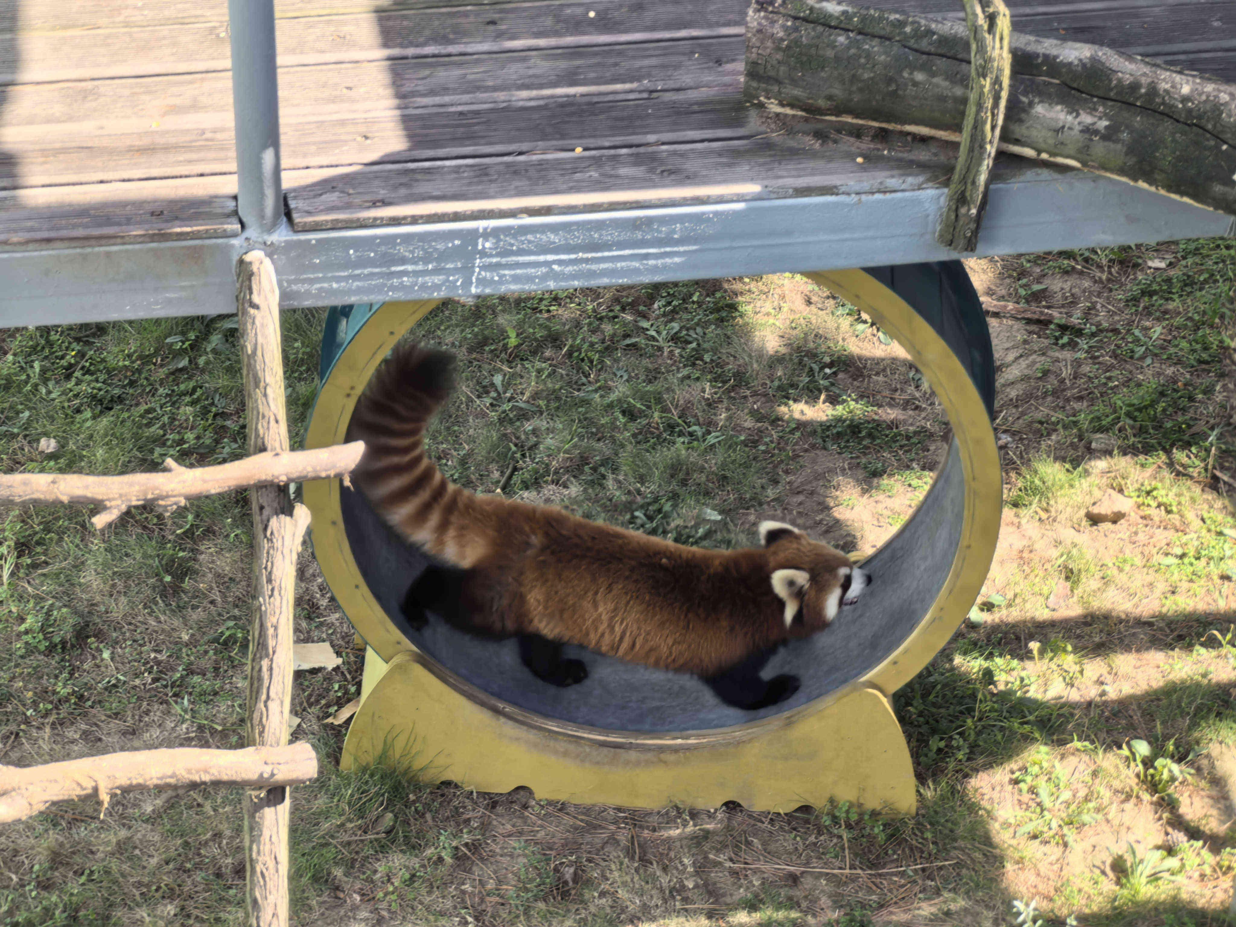 BG大游(集团)唯一官方网站