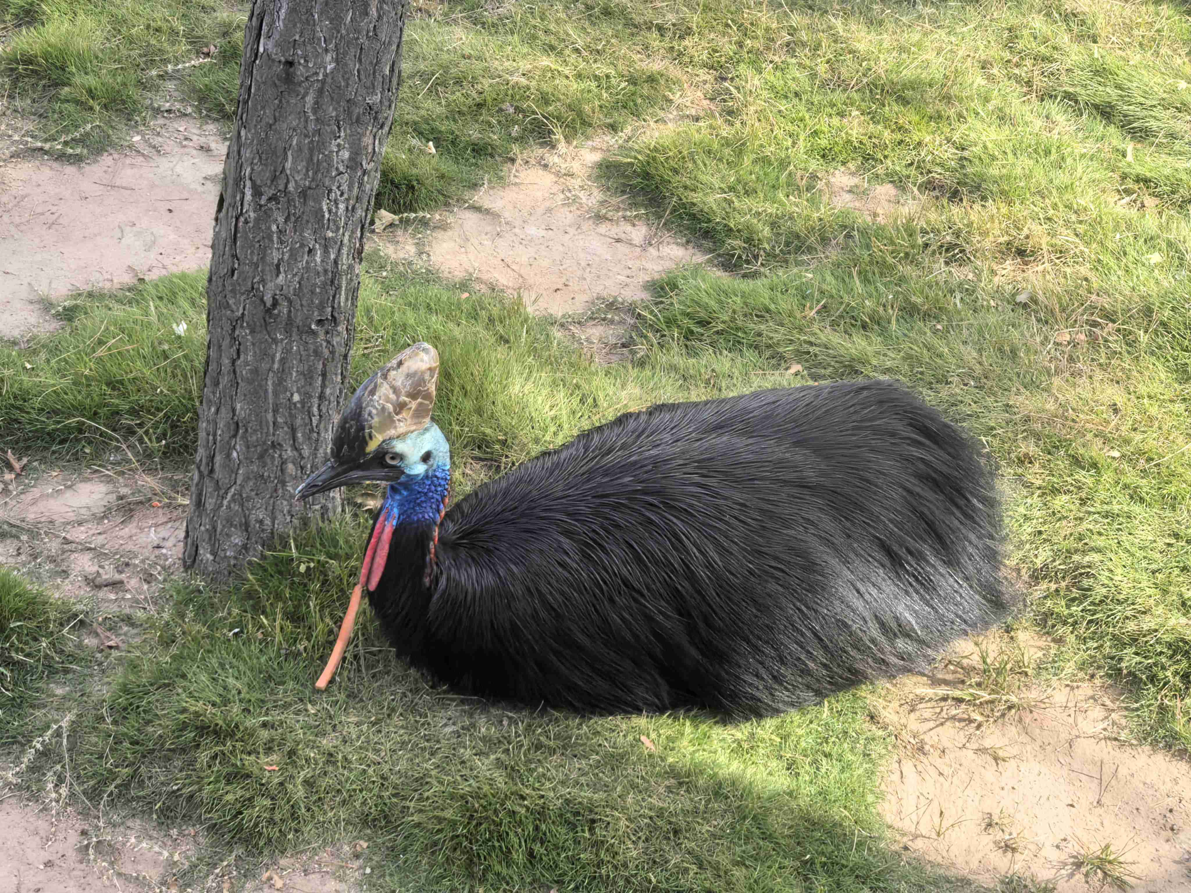 BG大游(集团)唯一官方网站