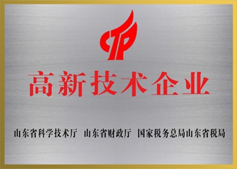 山东省高新手艺企业
